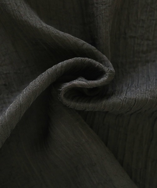 select MOCA（セレクトモカ）の「2021 SS リンクルハーフスリーブブラウス（ラウンドネックシアートップス）（シャツ/ブラウス・レディース・ブラック/アイボリー・FREE）」の17枚目の写真