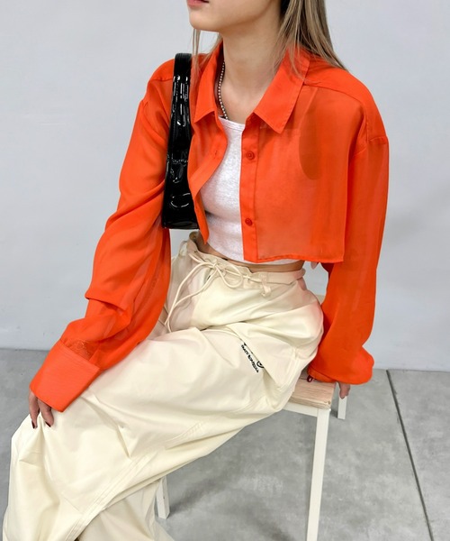 WHO'S WHO gallery（フーズフーギャラリー）の「シアーシャツ（シャツ/ブラウス・レディース・ホワイト/ブラック/ブラック系その他/ホワイト系その他/ピンク系その他/オレンジ系その他/ピンク/グリーン/オレンジ/グリーン系その他・SMALL/FREE）」の9枚目の写真