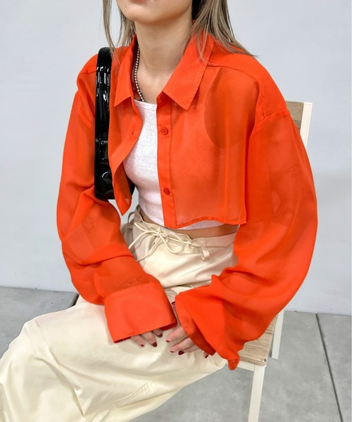 WHO'S WHO gallery（フーズフーギャラリー）の「シアーシャツ（シャツ/ブラウス・レディース・ホワイト/ブラック/ブラック系その他/ホワイト系その他/ピンク系その他/オレンジ系その他/ピンク/グリーン/オレンジ/グリーン系その他・SMALL/FREE）」の17枚目の写真