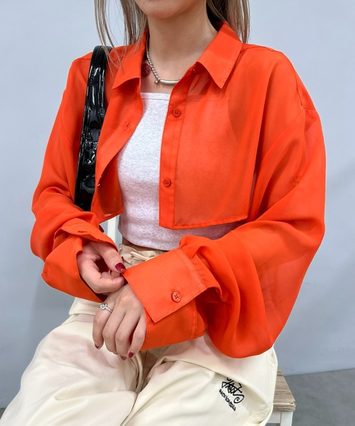 WHO'S WHO gallery（フーズフーギャラリー）の「シアーシャツ（シャツ/ブラウス・レディース・ホワイト/ブラック/ブラック系その他/ホワイト系その他/ピンク系その他/オレンジ系その他/ピンク/グリーン/オレンジ/グリーン系その他・SMALL/FREE）」の13枚目の写真