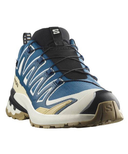SALOMON/サロモン メンズ スニーカー 防水 ゴアテックス XA PRO 3D V9