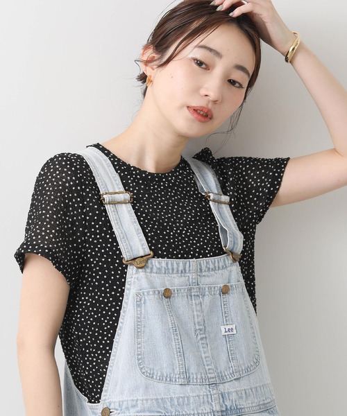 Gready Brilliant（グレディブリリアン）の「シアーサッカークルーカットソー（Tシャツ/カットソー・レディース・レッド/ドット/オフホワイト・FREE）」の3枚目の写真