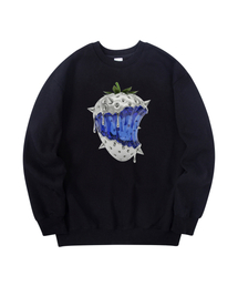 RADINEO（ラディネオ）の「クロムベリー メンズ スウェット ブラック（スウェット）」