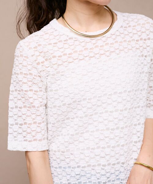 le.coeur blanc（ルクールブラン）の「《WEB限定アイテム》ストレッチレースハーフスリーブプルオーバー（Tシャツ/カットソー・レディース・オフホワイト/ブラック・38）」の18枚目の写真