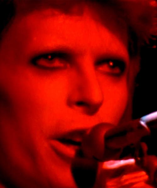 JOURNAL STANDARD SELECT（ジャーナルスタンダードセレクト）の「【ZIGGY STARDUST / ジギー・スターダスト】ロンT（Tシャツ/カットソー・メンズ・ホワイト/ブラック・MEDIUM/LARGE/X-LARGE）」の19枚目の写真