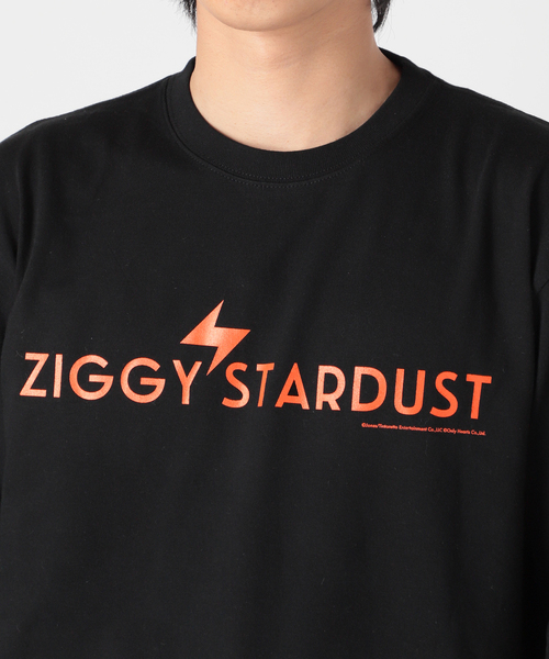 JOURNAL STANDARD SELECT（ジャーナルスタンダードセレクト）の「【ZIGGY STARDUST / ジギー・スターダスト】ロンT（Tシャツ/カットソー・メンズ・ホワイト/ブラック・MEDIUM/LARGE/X-LARGE）」の14枚目の写真