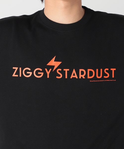 JOURNAL STANDARD SELECT（ジャーナルスタンダードセレクト）の「【ZIGGY STARDUST / ジギー・スターダスト】ロンT（Tシャツ/カットソー・メンズ・ホワイト/ブラック・MEDIUM/LARGE/X-LARGE）」の6枚目の写真