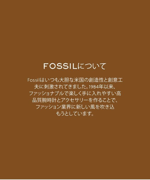 FOSSIL（フォッシル）の「フォッシル クラッチバッグ レディース レザー ブラウン  SL7830216（財布・レディース・ブラウン・FREE）」の12枚目の写真