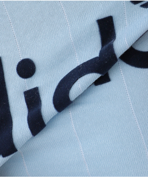 JOINT WORKS（ジョイントワークス）の「adidas / アディダス GRAPHIC CALI T（Tシャツ/カットソー・レディース・ホワイト/スカイブルー・SMALL）」の21枚目の写真