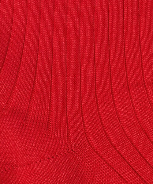 UNITED ARROWS（ユナイテッドアローズ）の「カラー リブソックス（ソックス/靴下・メンズ・レッド/パープル/ケリーグリーン/ワイン・FREE）」の5枚目の写真