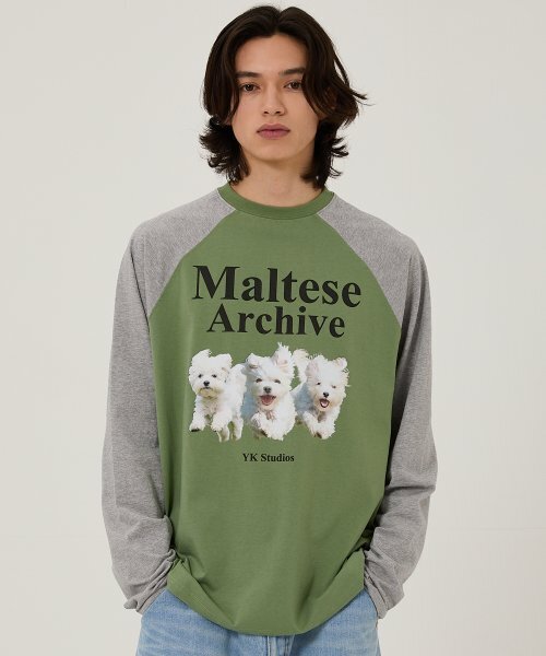 WaiKei(ワイケイ)の「マルチーズアーカイブラグランロングスリーブTシャツカーキ(Tシャツ/カットソー・メンズ・その他・0/1/2)」の2枚目の写真