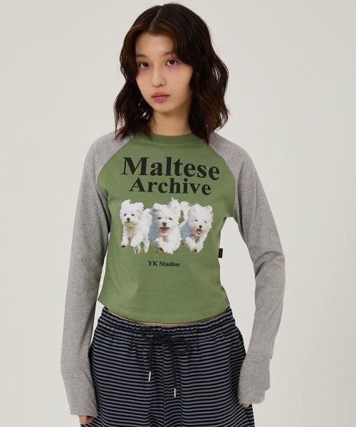WaiKei(ワイケイ)の「マルチーズアーカイブラグランロングスリーブTシャツカーキ(Tシャツ/カットソー・メンズ・その他・0/1/2)」の5枚目の写真