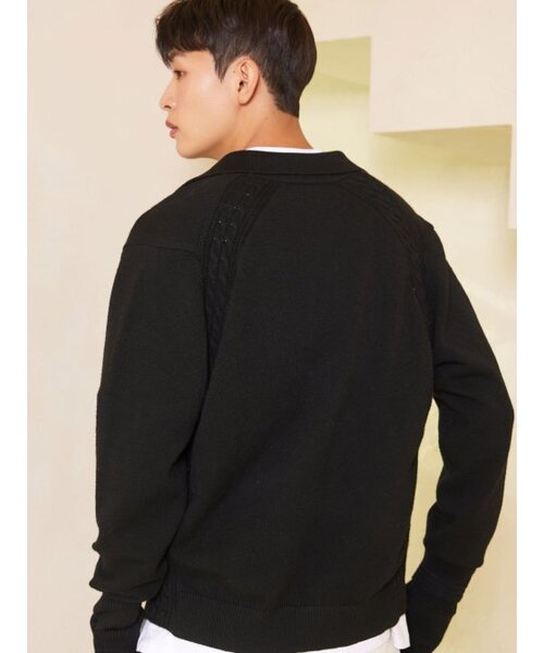 AYIHOLIC CASHMERE(アイホリックカシミア)の「ハーフジップポロニット ブラック #5COLOR(ニット/セーター・レディース・ブラック・L/M)」の3枚目の写真