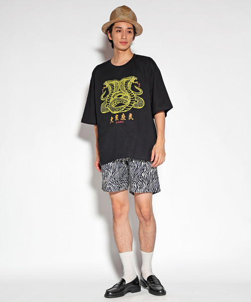Zebra Shorts / ゼブラショーツ（その他パンツ）｜ALDIES（アール