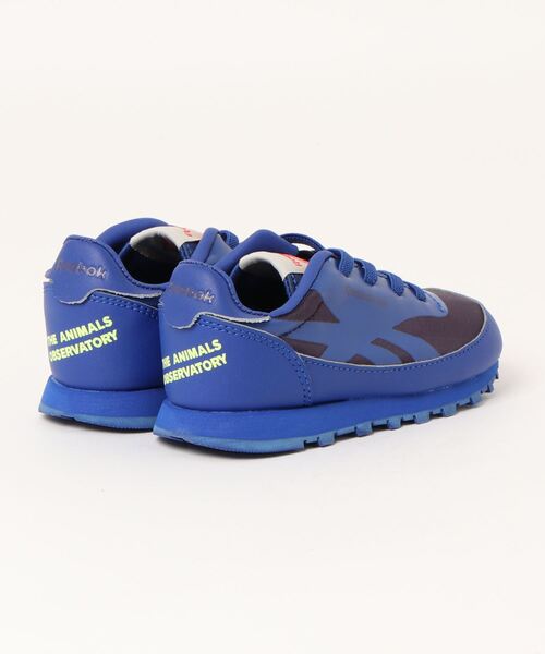 The animals observatory（ジ・アニマルズ・オブザーバトリー）の「The animals observatory / The animals observatory /  Reebok コラボスニーカー＜13-16cm＞（スニーカー・キッズ・ブルー・14）」の7枚目の写真