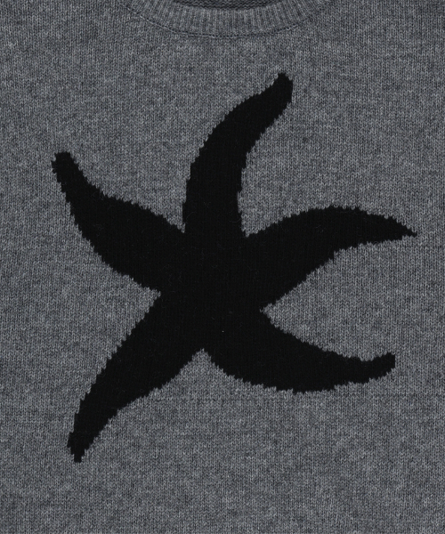 THECOLDESTMOMENT(ザコールデストモーメント)の「TCM starfish knit (charcoal)(ニット/セーター・レディース・その他・SMALL/LARGE)」の5枚目の写真
