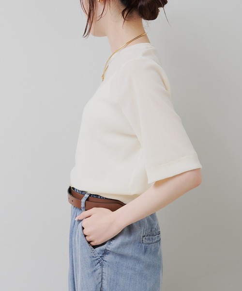 PUAL CE CIN(ピュアルセシン)の「シアーベロアハーフスリーブT(Tシャツ/カットソー・レディース・ネイビー/アイボリー/ベージュ・FREE)」の5枚目の写真