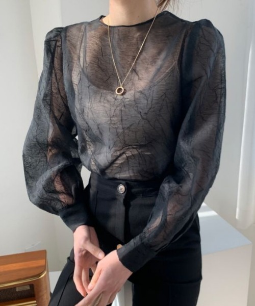 MANGROVE（マングローブ）の「シアーシフォンパフブラウス（シャツ/ブラウス・レディース・ブラック/アイボリー・FREE）」の2枚目の写真