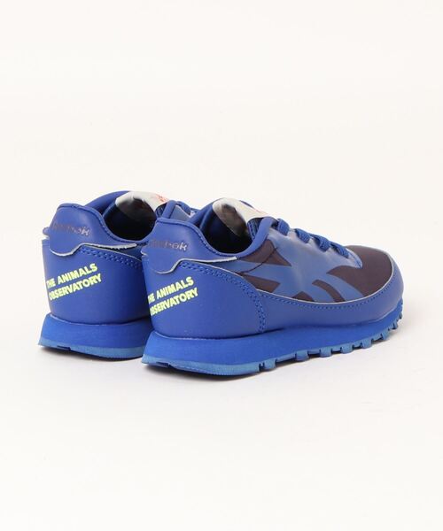 The animals observatory（ジ・アニマルズ・オブザーバトリー）の「The animals observatory / The animals observatory /  Reebok コラボスニーカー＜13-16cm＞（スニーカー・キッズ・ブルー・15 ）」の7枚目の写真