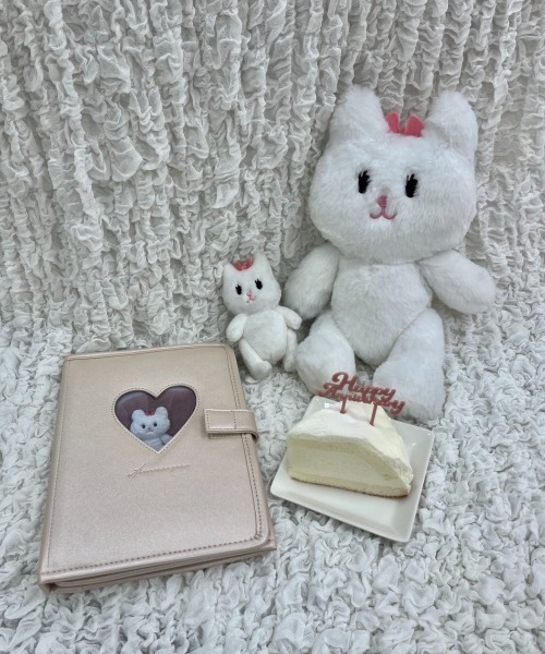 OLIVE des OLIVE（オリーブデオリーブ）の「Aimerianejoie推し入れ　1031200030（その他雑貨・レディース・ブラック/サックスブルー/ピンク・FREE）」の19枚目の写真