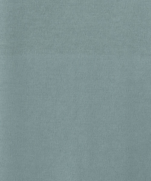 NOLLEY’S(ノーリーズ)の「《手洗い可能》クルーネックカーディガン(カーディガン/ボレロ・レディース・オフホワイト/ブラック/ピンク/ミント・38)」の9枚目の写真