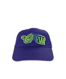 VARSITY BASEBALL CAP