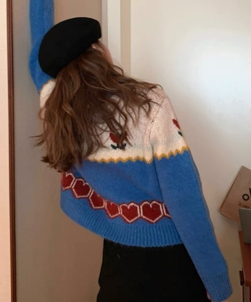 Vipoa（ヴィポア）の「retro flower jacquard knit cardigan（カーディガン/ボレロ・レディース・ブルー・FREE）」の4枚目の写真