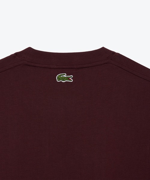 国内発【ラコステ】 アーチネームカレッジ ロゴ Tシャツ お揃い アーチネームカレッジロゴTシャツ TH2733 - ラコステ（LACOSTE