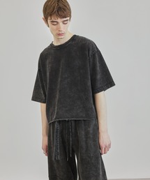 Ruelle（ルーエル）の「【Ruelle】Pigment-Dyed Cropped T-Shirt / ピグメント加工クロップド丈Tシャツ（Tシャツ/カットソー）」