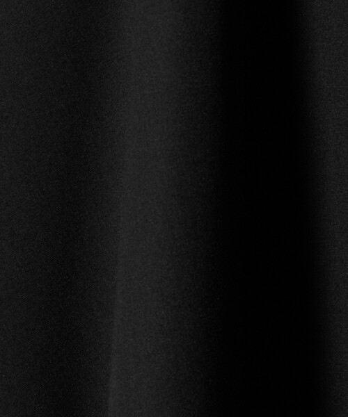 BEAUTY&YOUTH UNITED ARROWS（ビューティーアンドユースユナイテッドアローズ）の「ポリエステルツイル サーキュラースカート ウォッシャブル（スカート・レディース・ベージュ/ブラック・M/S）」の21枚目の写真