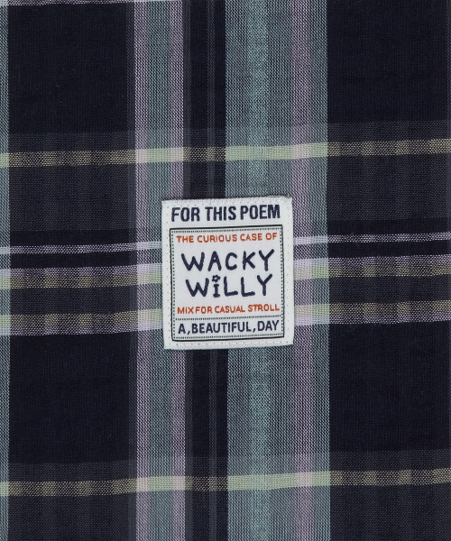 Wacky WiLLy(ワッキーウィリー)の「ウーマンズチェック半袖シャツダークネイビー(シャツ/ブラウス・レディース・その他・F)」の7枚目の写真