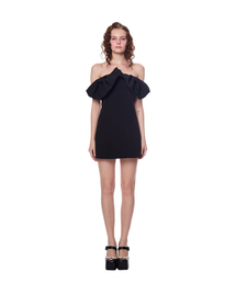 Big Ruffle Tube Top Onepiece