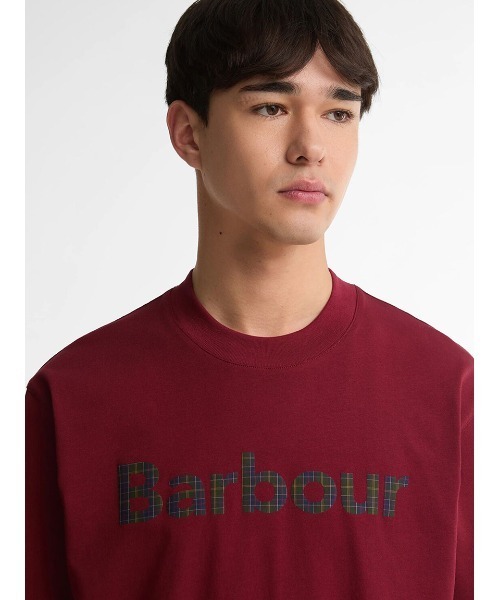 Barbour(バブアー)の「タータン ロゴ グラフィック オーバーサイズ Tシャツ(Tシャツ/カットソー・メンズ・ネイビー/イエロー/レッド/グリーン・40/36/38/42)」の16枚目の写真
