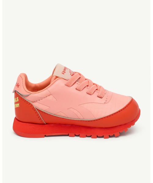 The animals observatory（ジ・アニマルズ・オブザーバトリー）の「The animals observatory / The animals observatory /  Reebok コラボスニーカー＜13-16cm＞（スニーカー・キッズ・ブラウン/ブルー・15 /16/14/13）」の19枚目の写真