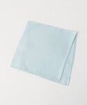 green label relaxing(グリーンレーベルリラクシング)の「フォーマルスーツ/小物(ポケットチーフ)」