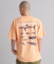 MANASTASH | MANASTASH/マナスタッシュ　PUMICE TEE SHARK(Tシャツ/カットソー)