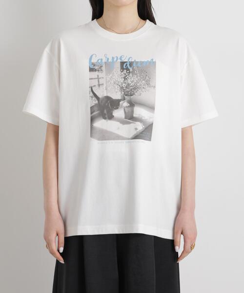 NANO universe(ナノユニバース)の「MINERALTEX(TM)フォトプリントTシャツ(Tシャツ/カットソー・レディース・その他3/その他2/その他1・FREE)」の11枚目の写真