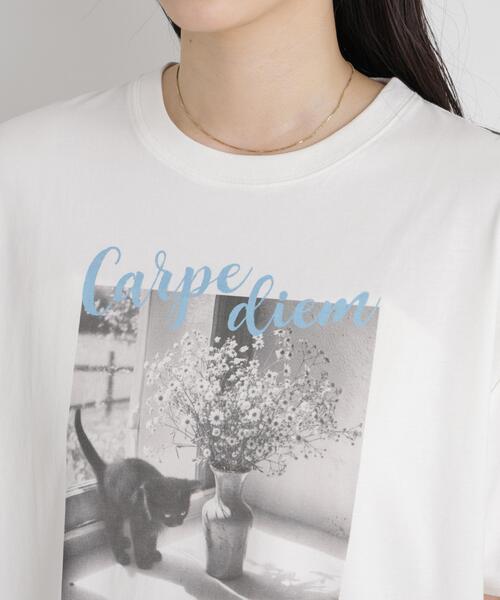 NANO universe(ナノユニバース)の「MINERALTEX(TM)フォトプリントTシャツ(Tシャツ/カットソー・レディース・その他3/その他2/その他1・FREE)」の14枚目の写真