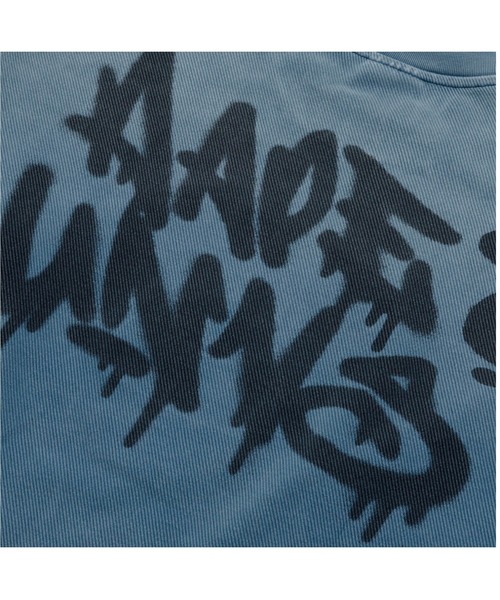 AAPE BY A BATHING APE（エーエイプバイアベイシングエイプ）の「AAPE CREW NECK SWEAT（スウェット・メンズ・レッド/ライトブラック/ブルー・SMALL/MEDIUM/X-LARGE/LARGE）」の9枚目の写真