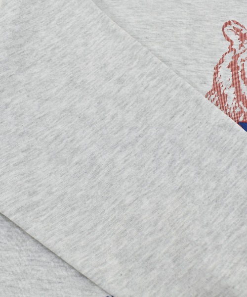 RUSSELL（ラッセル）の「【ヴィンテージ古着】90's RUSSELL / ラッセル TENNESSEE STATE カレッジスウェット USA製（スウェット・メンズ・グレー・X-LARGE）」の9枚目の写真