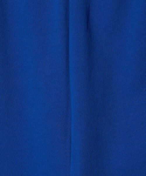 BEAUTY&YOUTH UNITED ARROWS（ビューティーアンドユースユナイテッドアローズ）の「コットン裏毛 スウェットパンツ（スウェットパンツ・レディース・ロイヤルブルー/ライトグレー・FREE）」の6枚目の写真