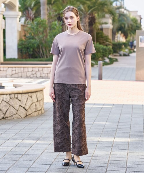 DRESSTERIOR(ドレステリア)の「【接触冷感/抗菌防臭/消臭】アイスクリアコットンTシャツ(Tシャツ/カットソー・レディース・ホワイト/ブラウン系その他/ブラック/ピンク/スミクロ・34/38/36)」の21枚目の写真