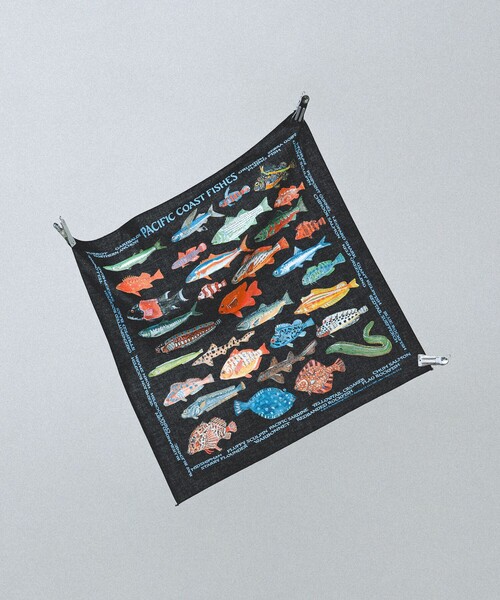 bpr BEAMS(ビーピーアール ビームス )の「【別注】THE PRINTED IMAGE / BANDANA(ハンカチ/ハンドタオル・レディース・ホワイト系その他2/ホワイト系その他4/オフホワイト/ナチュラル/ブラック系その他/ホワイト系その他5/ホワイト系その他6/ホワイト系その他7/ホワイト/ホワイト系その他3/ライトグレー・ONE SIZE)」の6枚目の写真