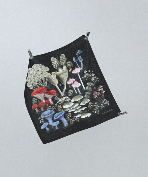 bpr BEAMS(ビーピーアール ビームス )の「【別注】THE PRINTED IMAGE / BANDANA(ハンカチ/ハンドタオル・レディース・ホワイト系その他2/ホワイト系その他4/オフホワイト/ナチュラル/ブラック系その他/ホワイト系その他5/ホワイト系その他6/ホワイト系その他7/ホワイト/ホワイト系その他3/ライトグレー・ONE SIZE)」の10枚目の写真