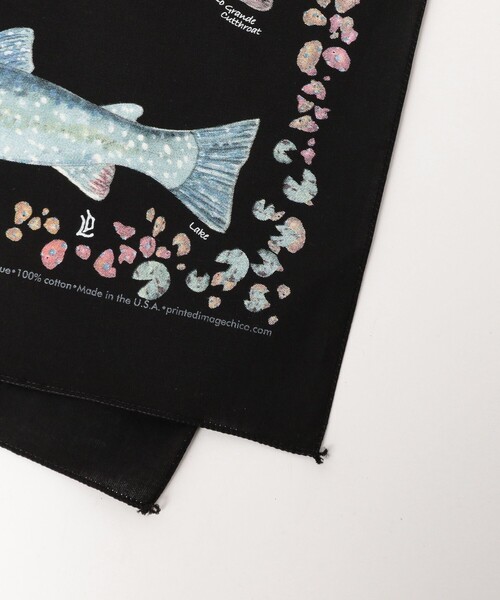 bpr BEAMS(ビーピーアール ビームス )の「【別注】THE PRINTED IMAGE / BANDANA(ハンカチ/ハンドタオル・レディース・ホワイト系その他2/ホワイト系その他4/オフホワイト/ナチュラル/ブラック系その他/ホワイト系その他5/ホワイト系その他6/ホワイト系その他7/ホワイト/ホワイト系その他3/ライトグレー・ONE SIZE)」の15枚目の写真