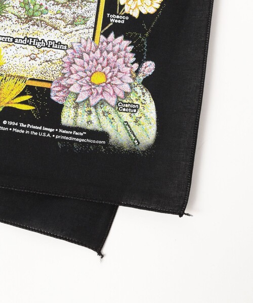 bpr BEAMS(ビーピーアール ビームス )の「【別注】THE PRINTED IMAGE / BANDANA(ハンカチ/ハンドタオル・レディース・ホワイト系その他2/ホワイト系その他4/オフホワイト/ナチュラル/ブラック系その他/ホワイト系その他5/ホワイト系その他6/ホワイト系その他7/ホワイト/ホワイト系その他3/ライトグレー・ONE SIZE)」の16枚目の写真