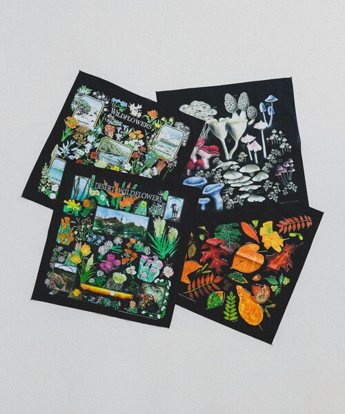 bpr BEAMS(ビーピーアール ビームス )の「【別注】THE PRINTED IMAGE / BANDANA(ハンカチ/ハンドタオル・レディース・ホワイト系その他2/ホワイト系その他4/オフホワイト/ナチュラル/ブラック系その他/ホワイト系その他5/ホワイト系その他6/ホワイト系その他7/ホワイト/ホワイト系その他3/ライトグレー・ONE SIZE)」の22枚目の写真