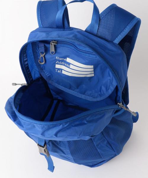 THE NORTH FACE（ザノースフェイス）の「THE NORTH FACE(ザノースフェイス) Flyweight Recon13L（バックパック/リュック・キッズ・ロイヤルブルー/レッド・FREE）」の3枚目の写真