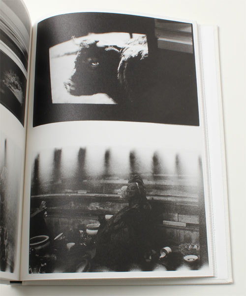 サイン入り】野村佐紀子NUDE / A ROOM / FLOWERS