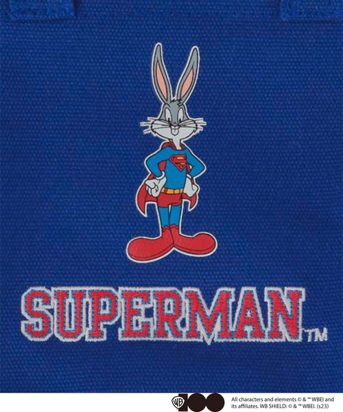 LOWRYS FARM(ローリーズファーム)の「ミニトートバッグ/ワーナー・ブラザース100周年 192579(トートバッグ・キッズ・ブルー/その他・FREE)」の10枚目の写真